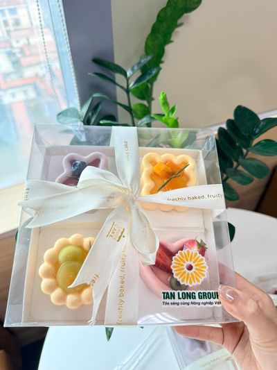 set-4-mousse-trang-tri-hoa-qua_image_2026-03-31_002